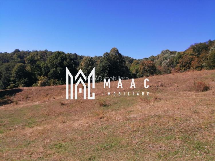 Teren Extravilan 20.000Mp I Stoenești -Vâlcea I Apă Curentă și Pădure - 8