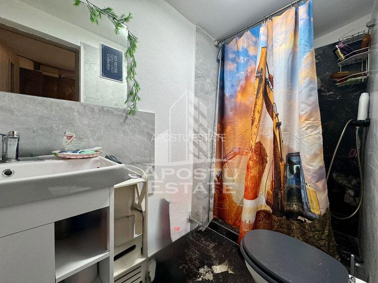 Doua apartamente la curte comuna , zona Iosefin - 12