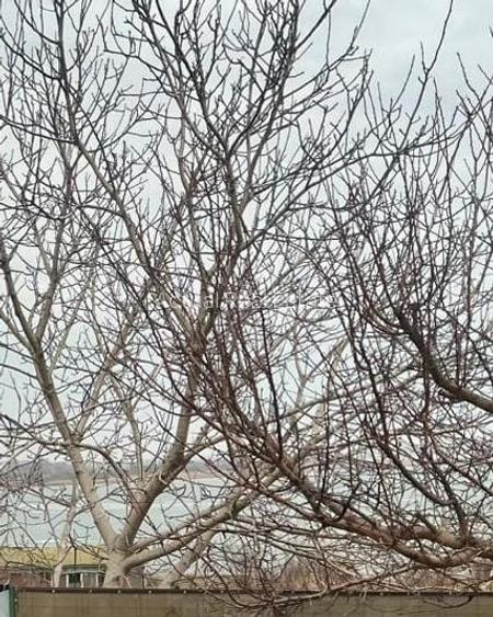 CASA 4 CAMERE | OVIDIU | 114 MPU | VEDERE LA LAC - 14