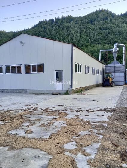 Vând sau închiriez spații comerciale,hale industriale,hale depozitare  - 6