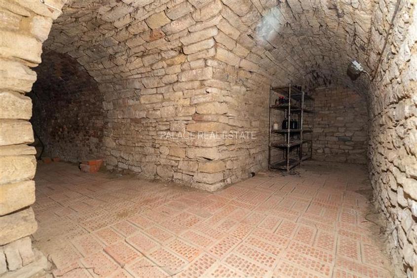 Conac de lux in Zona Piata Chirila - 11