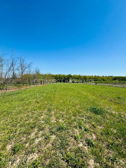 Teren intravilan 3800 mp Alparea lângă pădure - 2