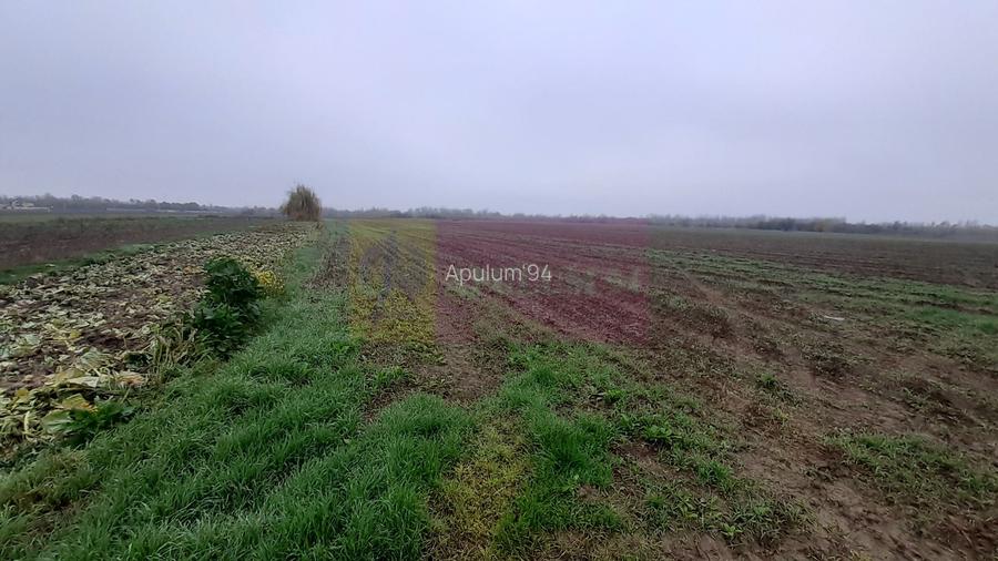 Teren Investiție aproape de București - 4