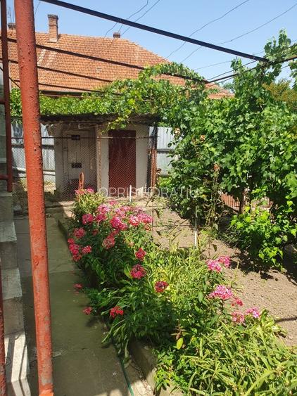 Casa luminoasa,situata in zona linistita si cu gradina - 4