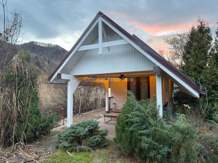 Domeniu privat cu iazuri in apropiere de Piatra Neamt - 9