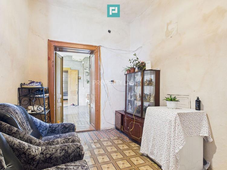 Casă cu grădină mare la 30 km de Timișoara - 11