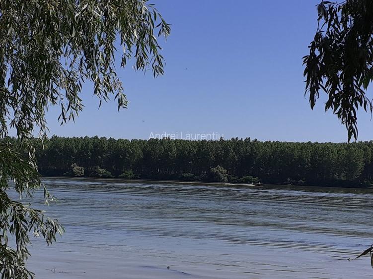 OCAZIE; teren MAHMUDIA 12euro/m.p. Suprafata 5000 m.p. Deschidere la Dunare 48m - 3