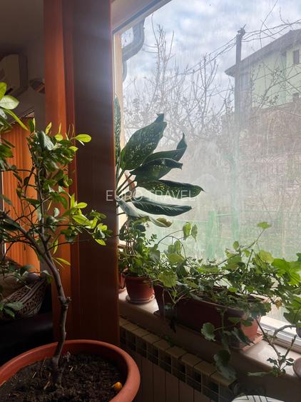 Casa  cocheta , la sol, caramida, teren 386 mp/desch. de 13 m,garaj, 299000 euro - 9