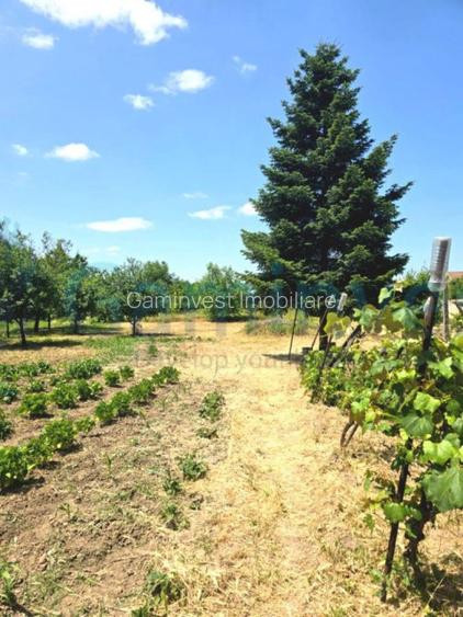 Casa cu teren de 1700mp, Episcopia Bihorului, Oradea - 9