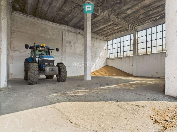 Complex industrial cu hale și teren  în Orțișoara - 19