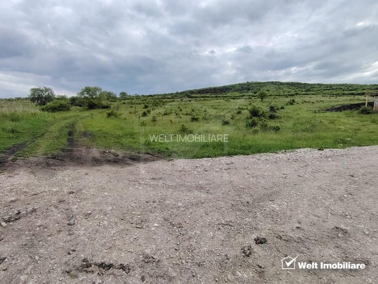 8.700 mp pentru dezvoltare rezidentiala la 3 km de CREIC - Chinteni - 9