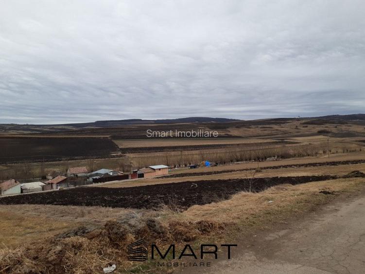 Teren extravilan 2800mp Daia Romana - Alba - 3