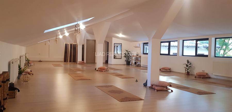 Studio sau birouri mansarda Universitate - strada Sfintilor 6 - 11