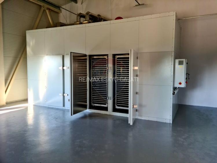 Teren agricol 13,1 ha + Hală 700 mp + Utilaje Agricole - Piscu, Galati - 16