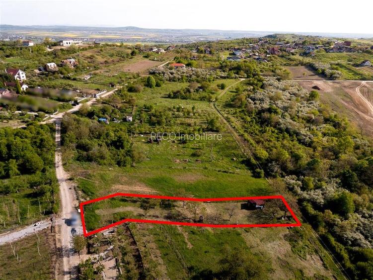 RECO Teren intravilan in Saldabagiu de munte zona Gheorghe Doja - 7