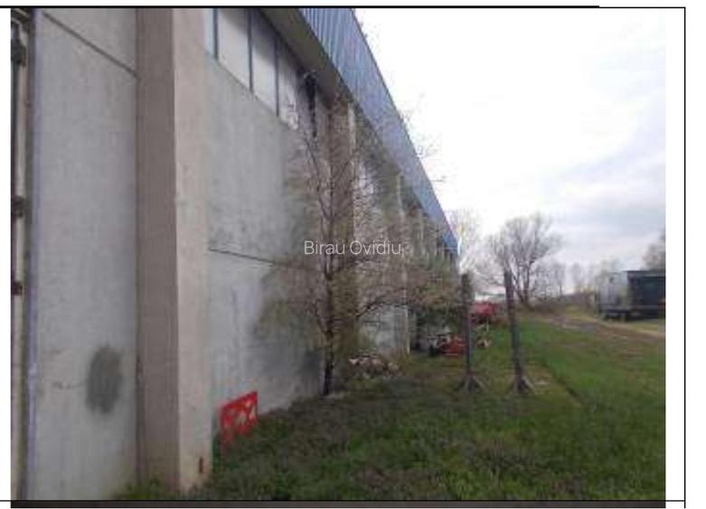 HUB Logistic intermodal 9,1 ha acces direct la DN 59/E70 JEBEL ,Timis - 7