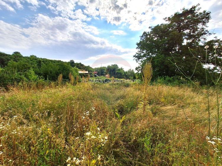 Casă / Vilă cu 2 camere de vânzare - 7