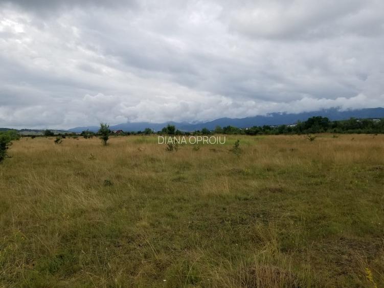Teren intravilan 550mp - Cisnadie, zona aerodrom Magura,direct de la proprietar! - 5