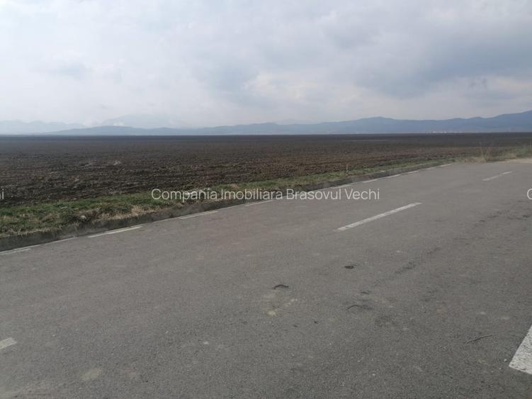 Ghimbav, teren intravilan pentru complex rezidential. - 4