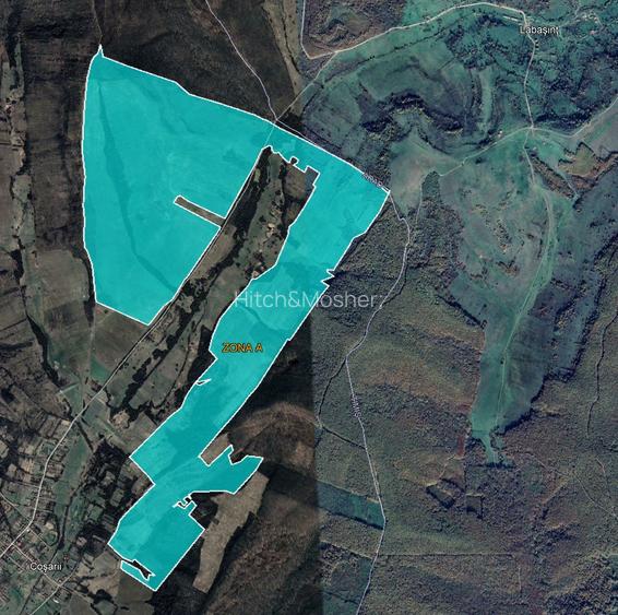 De vanzare plantatie de alun, pe rod, situata in judetele Arad si Timis - 5