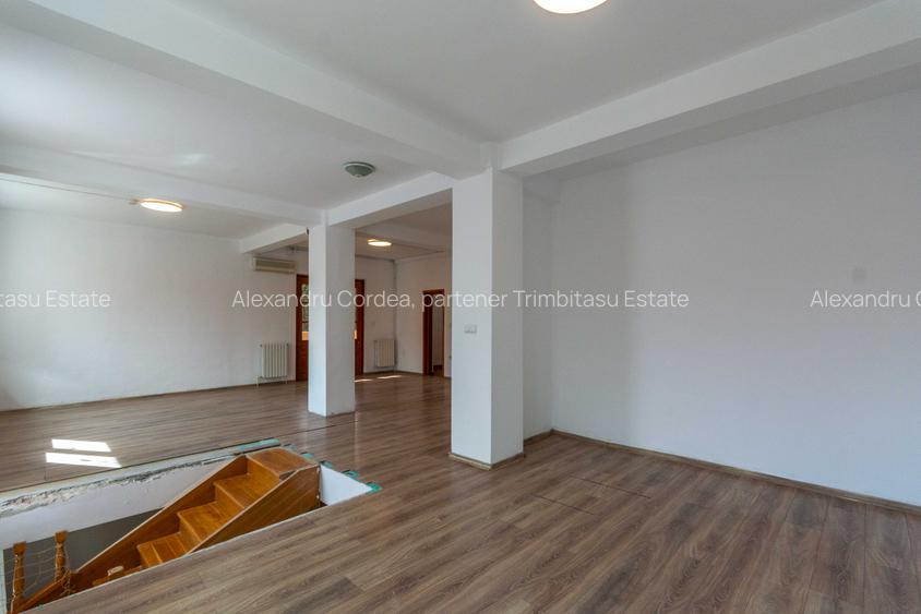 Aviatiei | Smaranda Braescu | Vila reprezentativa de inchiriat - 23