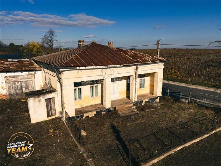 FILM! Casa boieresca autentica,domeniu de 4.000 mp intravilan,in podgoriile Odob - 3