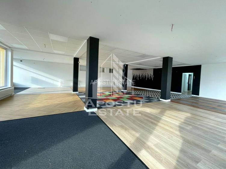 Spatiu Comercia/ Showroom 200mp util+curte720mp/GRADISTE - 3
