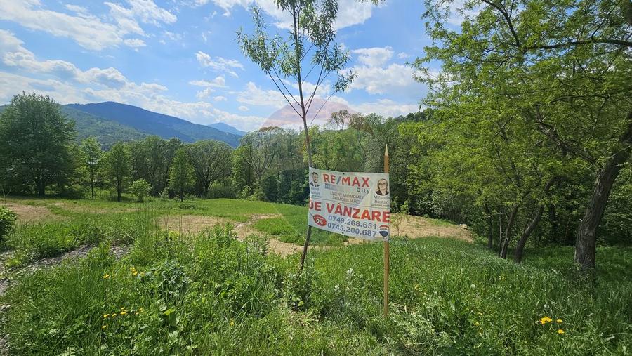 Teren de vanzare cu vedere la Ceahlău și Lacul Bicaz