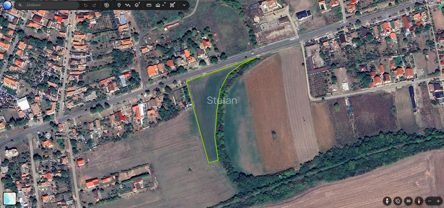 Teren intravilan Zadareni-Bodrogul Nou 8000mp 141m front - Soseaua principala - 4