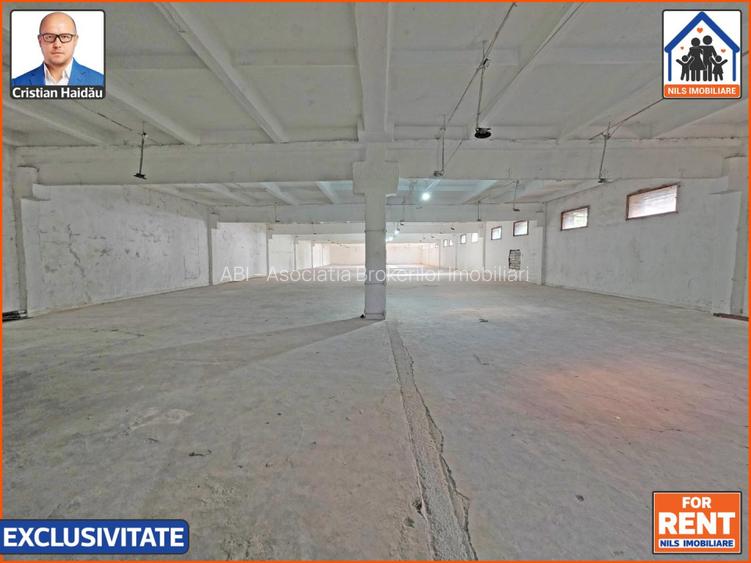 Hale de inchiriat in 1 Decembrie Ilfov | NILS Imobiliare - 6