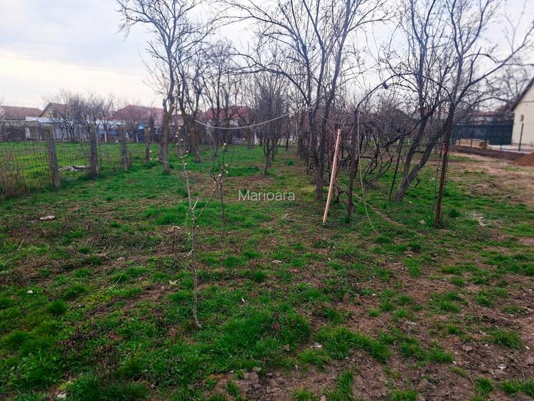 Oportunitate casă vanzare Vladimirescu teren generos 1168 mp - 9