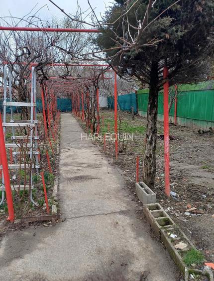 telegrafului casa individuala - 4