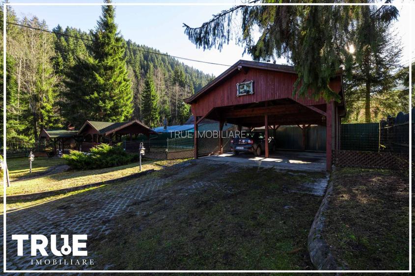 Cabană 210 m² + teren 1400 m² | Sălard, Mureș - 18