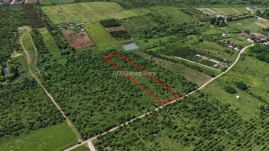 TEREN INTRAVILAN in Paleu - 2