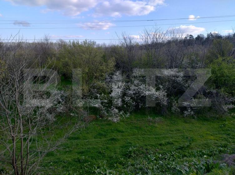 Teren padure 10 ha, extravilan, 400 ml deschidere, stradal, zona Breasta - 2