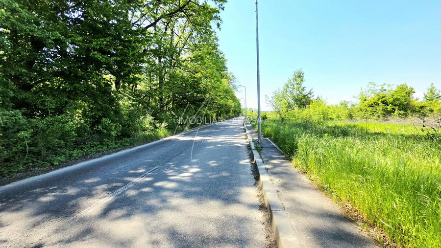 Teren intravilan, 2 fronturi, Drumul Padurea Pustnicu 65 - Greenfield - 23