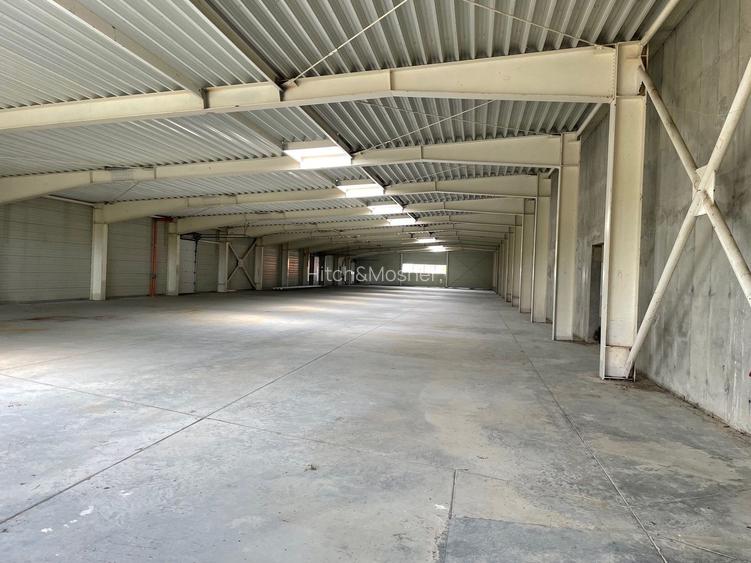 De vanzare hala in Sanandrei, judetul Timis - 11