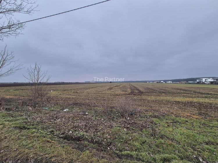 TEREN DE VANZARE LA SOSEA - STEFANESTI ILFOV - 3