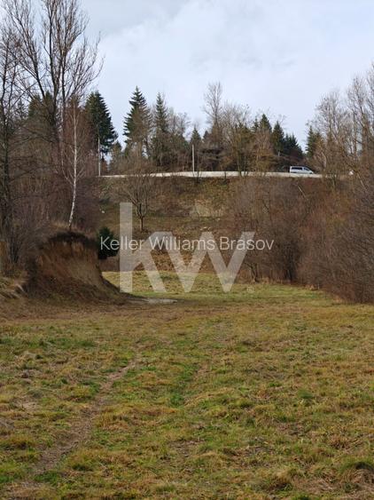 Teren intravilan Dambovicioara / OFERTA -REPOZITIONARE PRET - 6