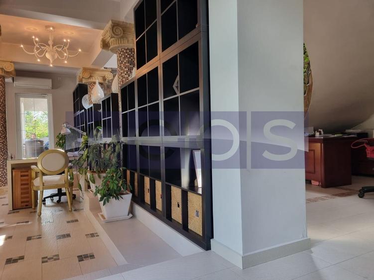 INCHIRIERE SPATIU COMERCIAL-2 VILE | ZONA MOGOSOAIA - 28