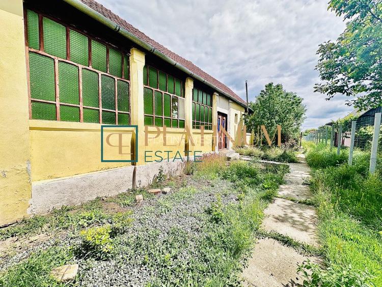 P4504 Casa cu 5 camere in Becicherecu Mic teren 961 mp ASFALT - 3