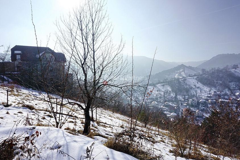 Teren Intravilan - Zona Drumul Poienii - 5