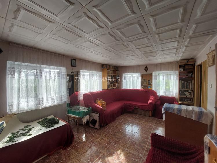 PROPRIETATE SUPERBA IN BIBIRESTI - 18