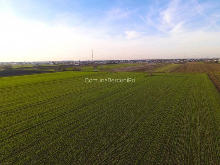 Teren Investitional 1,24 ha Com Berceni | deschidere 42ml | #CG28 - 6