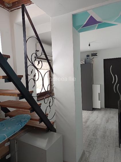 Teren parcelabil, intravilan, 6400mp cu casa renovata - ideal investitor  - 11