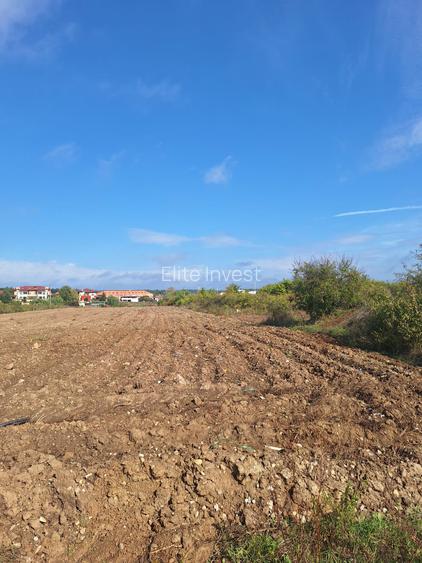 Teren intravilan Mogosoaia- 7 Loturi-Suprafata totala 5180 mp-Deschidere Lac - 6