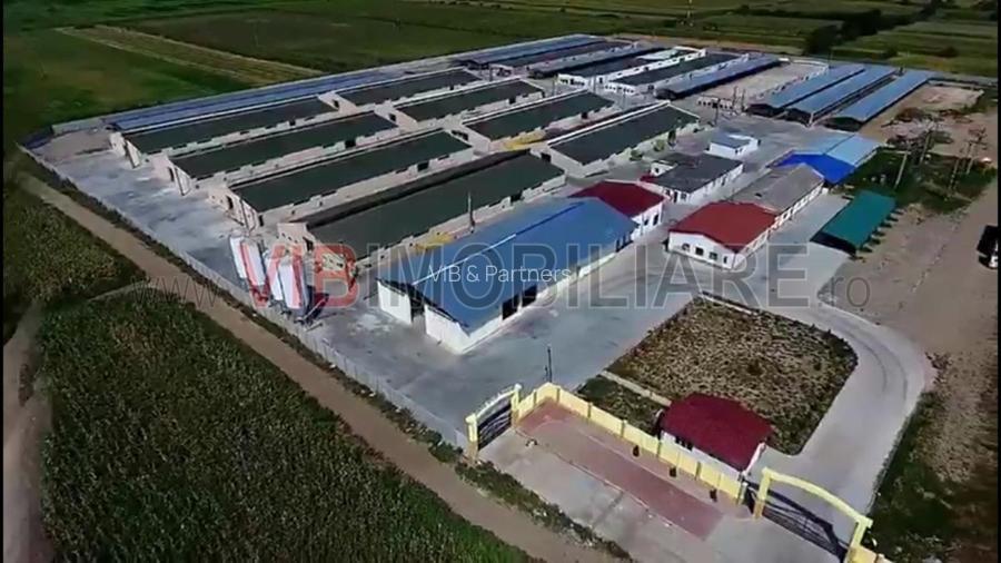 *Fermă modernă pentru export miei | 6 ha | Standarde europene | Aproape de Brăil - 2