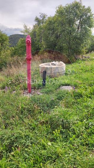 Teren constructii si faneata/livada 3082 mp Damis Bratca drum DJ 764D - 7