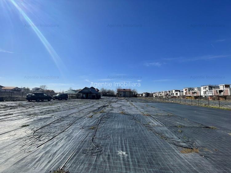Teren Str. Livezilor - Mogosoaia - Comision 0% - 7