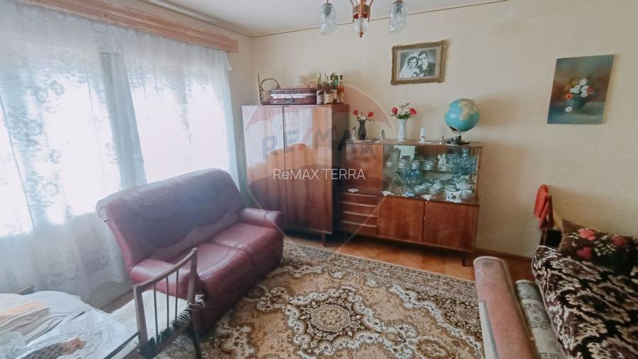 CASA + Casuta - DE VANZARE in Baia Sprie - 13